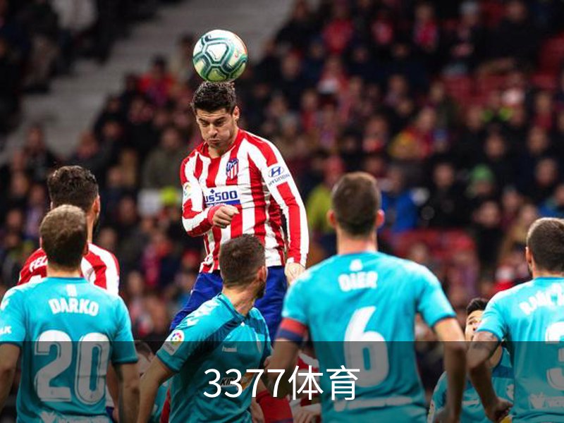3377体育概况